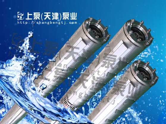 ͸gʽ200QH40-455/35-P䓝ˮÏSҹ(yng)