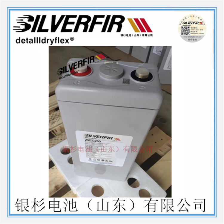 ԭbSILVERFIRyɼ늳2VEG200I(y)(ch)2V-200AH(ch)늳