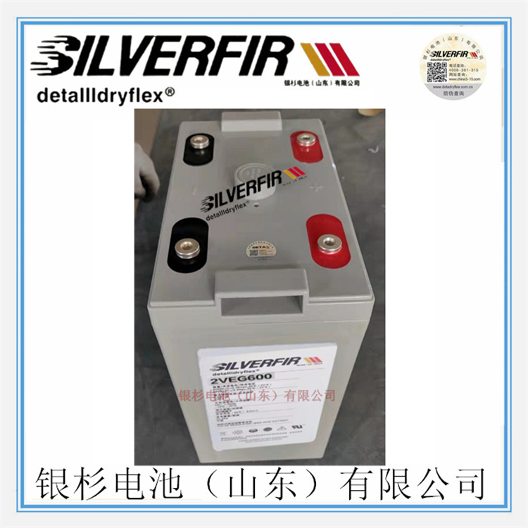 SILVERFIRyɼ늳2VEG600 ͨŻվ ֱ(ch)2V-600AH늳