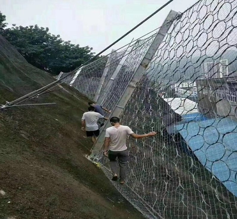 Ĵ߅o(h)ھW(wng)SҶ