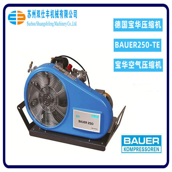 (gu)A߉՚≺sC(j)BAUER250-TE