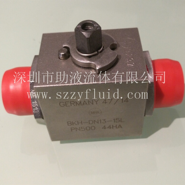  ͨ߉y BKH-DN20-3/4NPT-1928/192A