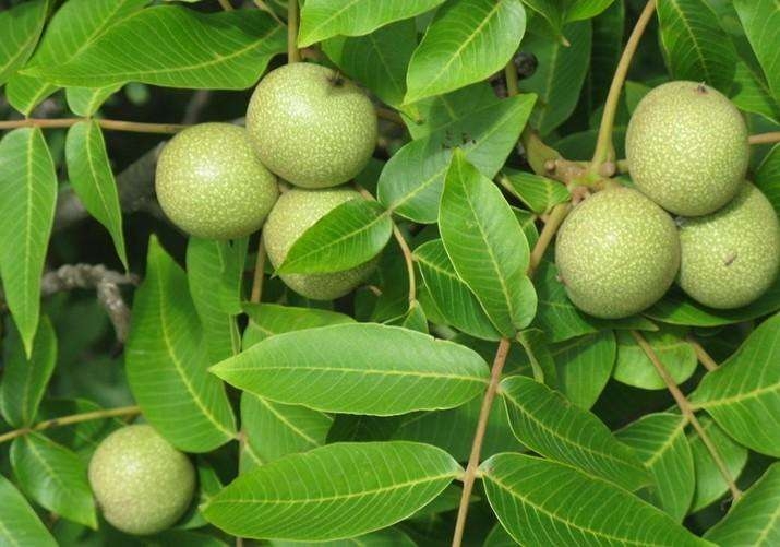   2018ăr(ji)   F(xin)ڬF(xin)u
