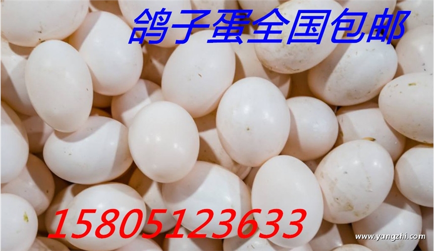 uӵ