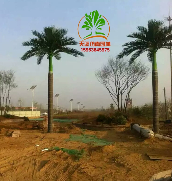 ٘S@ּӹS(bio)(zhn)Ʒ