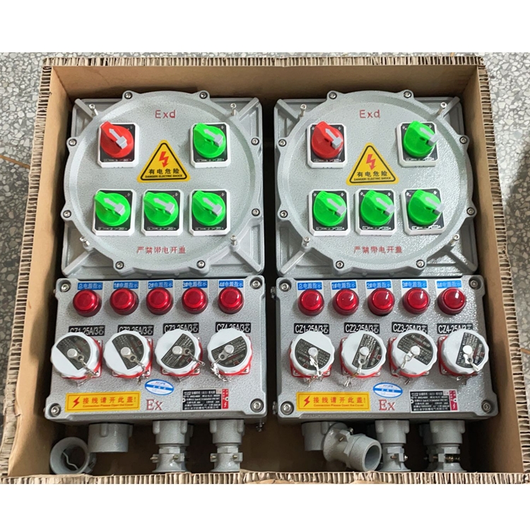 BXK8050-4K/100KzTX|(zh)IP65