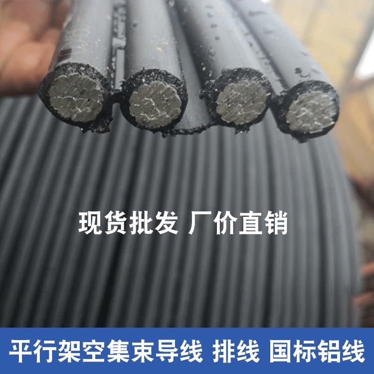 (do)黨bsJKLYJ-10KV-4*50S