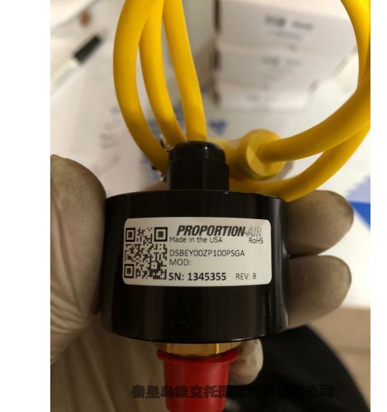proportion-air  DSBEY00ZP100PSGA
