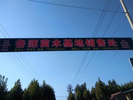 RfGNֲ޹˾