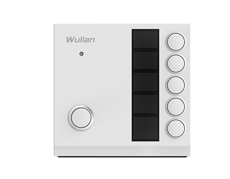 WULIAN  ·_P(gun)