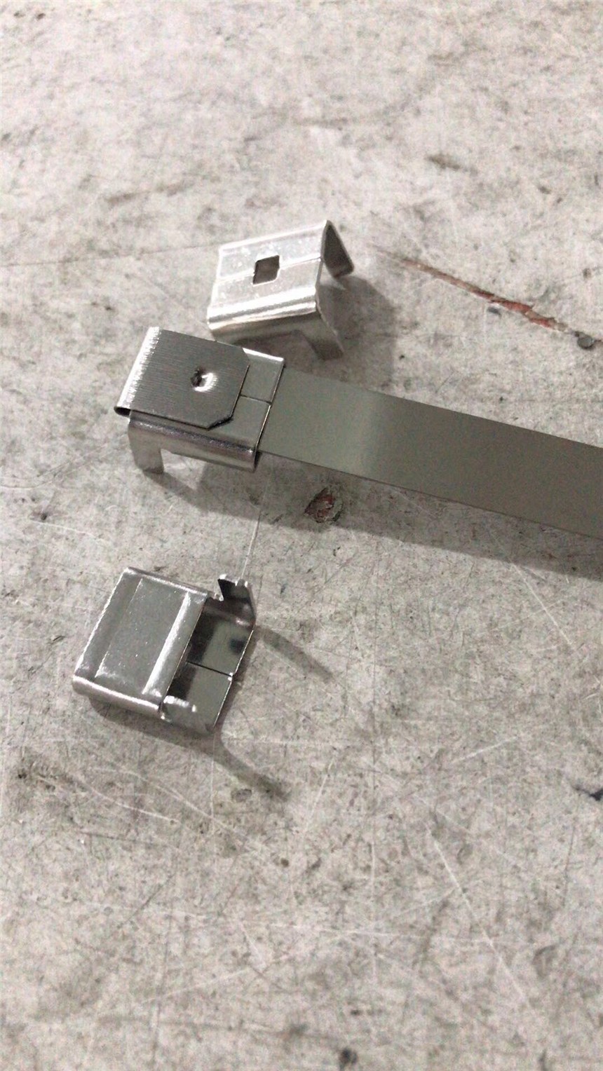 0.6MMP䓽zr