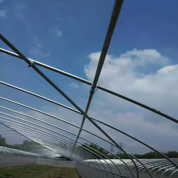 㽭бĤBr(nng)S6߲˴ܴ