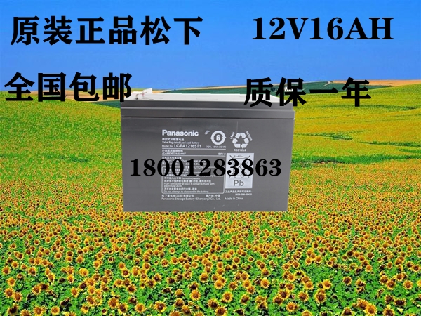 늳12V16AHSֱN  