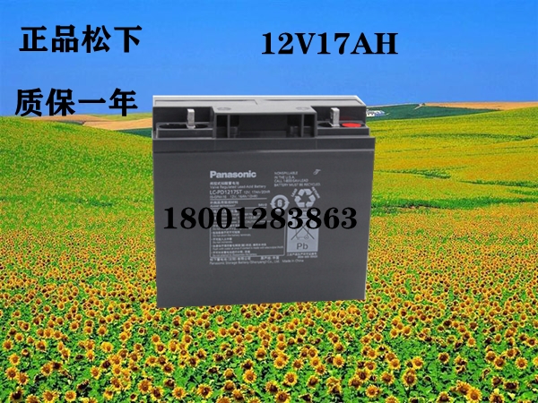 늳12V17AHSֱN 