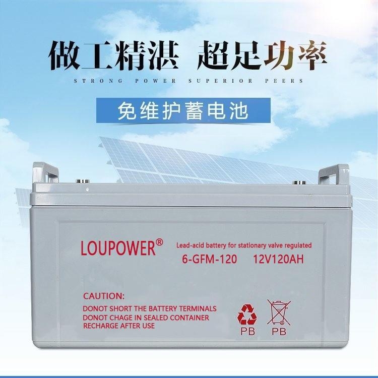LOUPOWERR늳6-GFM-120 So UPSֱgƿ