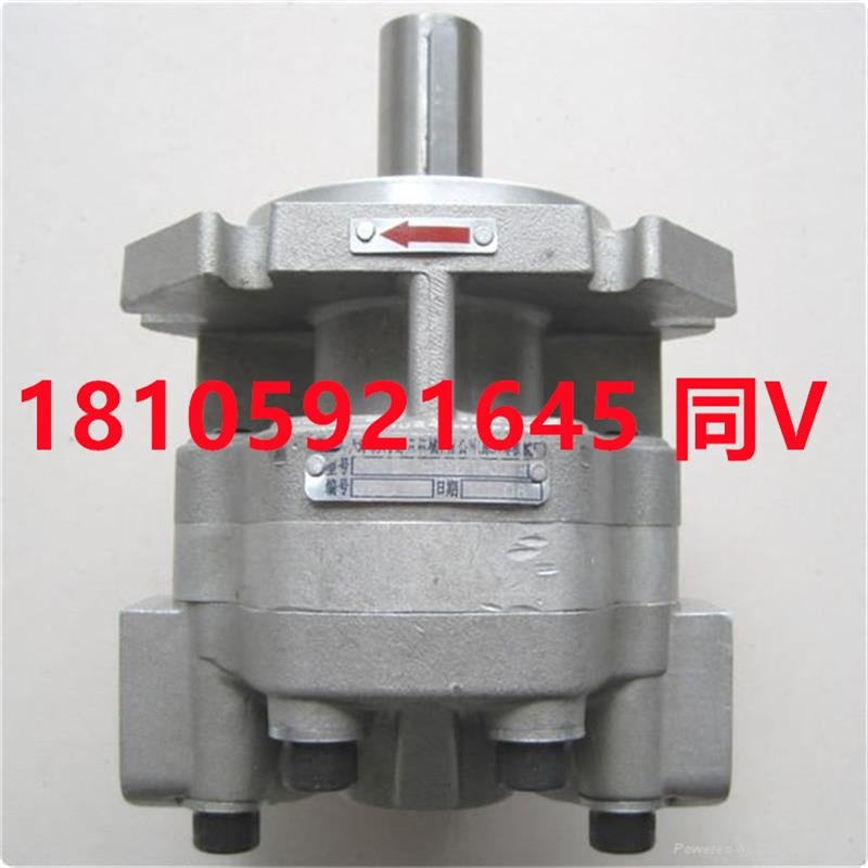 uҺͱGPY-11.5RGPY-4RGPY-5.8RGPY-8RGPY-9R