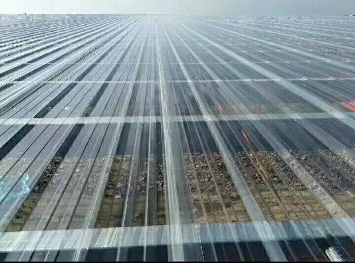 (yng)Qpcɹ pcꖹ pc