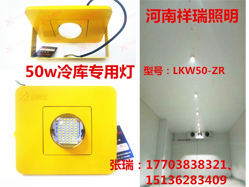 LED쌣ˮ50w