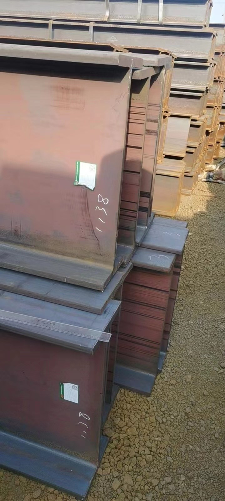 W(bio)HHEB220*220*9.5*16Ϻ؛
