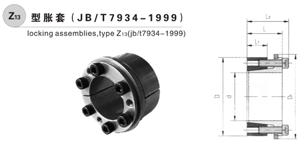 Z13ÛoioP