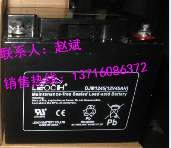 ʿLEOCH늳2V700AHr(ji)񅢔(sh)