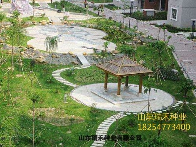 оGݷNDƬY(ji)|