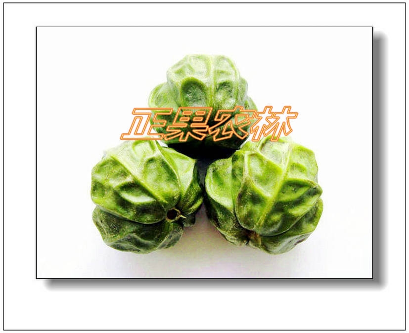 ®a(chn)ͩNӾx-ڰr(nng)