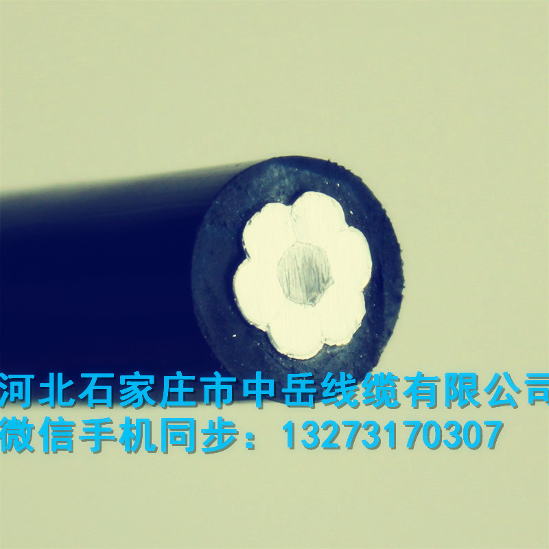 ʡꖼܿվJKLGYJ-10KV-70/10