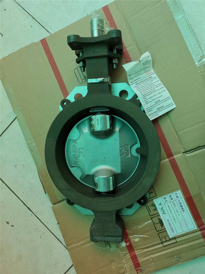Fig PremiSeal38DW112 DN150y