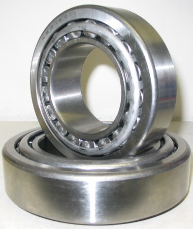 (yng)INAMS MS SL18 2204