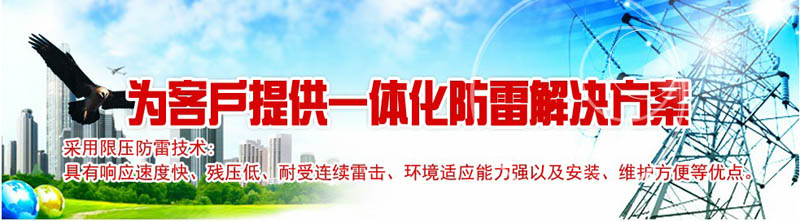 L(zhng)ɳa(chn)S(chng)_L(zhng)ɳa(chn)S(chng)